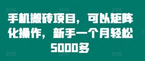 手机搬砖项目，可以矩阵化操作，新手一个月轻松5000多-网创资源站