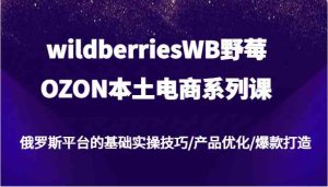 wildberriesWB野莓/OZON本土电商系列课,俄罗斯平台的基础实操技巧/产品优化/爆款打造-网创资源站