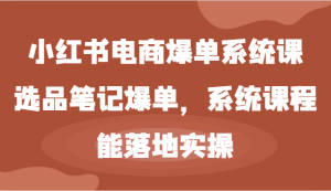 小红书电商爆单系统课-选品笔记爆单,系统课程,能落地实操-网创资源站