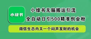 小绿书无脑搬运引流,全自动日引500精准创业粉,微信生态内又一个闷声发财的机会【揭秘】-网创资源站
