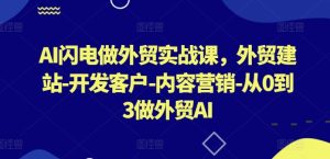 AI闪电做外贸实战课,外贸建站-开发客户-内容营销-从0到3做外贸AI(更新)-网创资源站