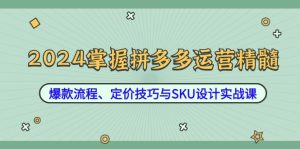 2024掌握拼多多运营精髓：爆款流程、定价技巧与SKU设计实战课-网创资源站