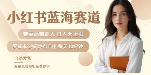 小红书蓝海赛道,圈中高端职场人,月入无上限,可矩阵,内含私域实操教程!-网创资源站
