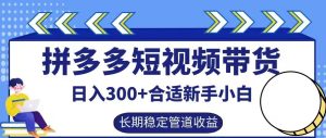 拼多多短视频带货日入300+有长期稳定被动收益,合适新手小白【揭秘】-网创资源站