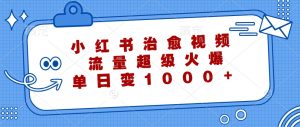小红书治愈视频，流量超级火爆，单日变现1000+-网创资源站