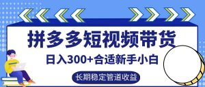拼多多短视频带货日入300+，实操账户展示看就能学会-网创资源站