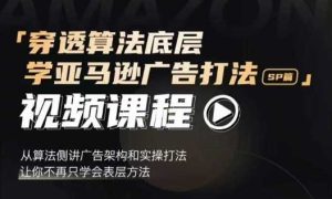 穿透算法底层,学亚马逊广告打法SP篇,从算法侧讲广告架构和实操打法,让你不再只学会表层方法-网创资源站
