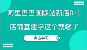 阿里巴巴国际站新店0-1，个人实践实操录制从0-1基建，店铺基建学这个就够了-网创资源站
