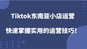 Tiktok东南亚小店运营,快速掌握实用的运营技巧!-网创资源站