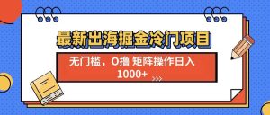 (13672期)最新出海掘金冷门项目,单号日入1000+-网创资源站