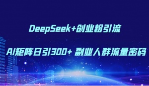DeepSeek+创业粉引流 AI矩阵日引300+ 副业人群流量密码-网创资源站
