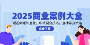 2025商业案例大全，短视频矩阵运营，私域裂变技巧，直播带货策略-网创资源站