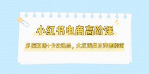 小红书电商高阶课,多店矩阵+卡位选品,大红海类目突围指南(更新5月)-网创资源站