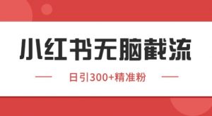 小红书截流同行客源，独家野路子获客玩法 日引200+暴力获客【揭秘】-网创资源站