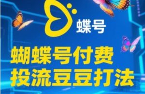 2025蝴蝶号付费投流豆豆打法，助新手快速掌握付费流量撬动自然流的核心玩法-网创资源站