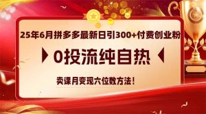25年6月拼多多最新日引300+付费创业粉，0投流纯自热 卖课月变现六位数方法-网创资源站