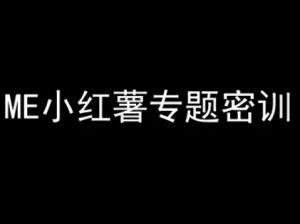 ME小红薯专题密训-小红书电商教程-网创资源站