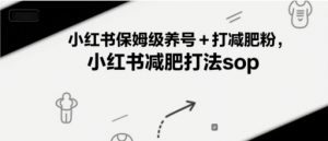 小红书保姆级养号+打减肥粉，小红书减肥打法sop-网创资源站