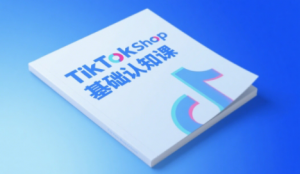 梨子姐姐·TikTok小店基础认知课-网创资源站