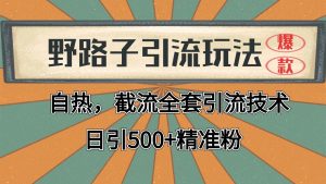 2024首发野路子引流玩法截流自热全平台打法,全自动引流【日引2000+精准客户】-网创资源站