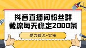 抖音直播间粉丝群暴力截流，一台电脑每天稳定2000条数据【揭秘】-网创资源站