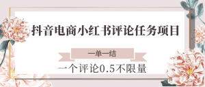抖音电商小红书评论任务项目，一个评论0.5，一单一结 不限量-网创资源站