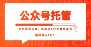 【公众号托管 】我提供文章,你每天5分钟复制发布,最高月入1W-网创资源站