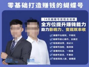 蝴蝶号专栏-视频号运营教程,零基础打造挣钱的蝴蝶号,14天蝴蝶号变现全攻略-网创资源站