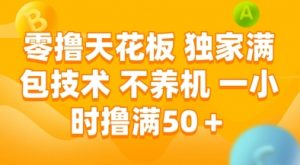 零撸天花板，独家满包技术，不用养机，一小时撸满50+，收益稳定【揭秘】-网创资源站