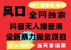 25年6月高爆抖音无人直播最新撸音浪掘金项目，解放双手小白可做，无脑日入1k+，门槛低【揭秘】-网创资源站
