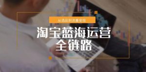 淘宝蓝海运营全链路，从选品到流量变现，小类目突围完整方案-网创资源站