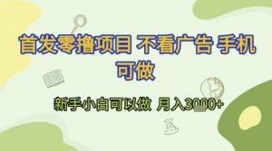 首发零撸项目 不看广告 手机可做 新手小白可以做  月入3k+【揭秘】-网创资源站