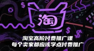 淘宝高阶付费推广课，每个卖家都应该学点付费推广-网创资源站