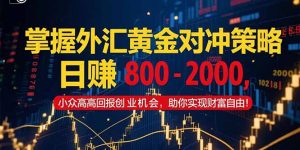 掌握外汇黄金对冲策略，日赚 800 – 2000，小众高回报创业机会，助你实…-网创资源站