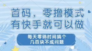 首码零撸项目，有快手就可以做，每天业务时间搞个几张不是问题【揭秘】-网创资源站