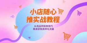 小店随心推实战教程，从选品到投放技巧，精准获取高转化流量-网创资源站