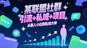 某联盟社群，引流+私域+项目，从新人小白到私域大神-网创资源站