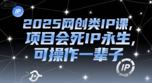 2025网创类IP课，项目会死IP永生，可操作一辈子-网创资源站