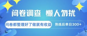 问卷调查，懒人勿扰，问卷都整理好了单价不等，做就有收益，熟练后单日3张【揭秘】-网创资源站