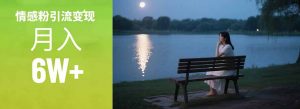 情感粉引流变现实操课：单月变现6w+，情感粉引流变现实操课-网创资源站