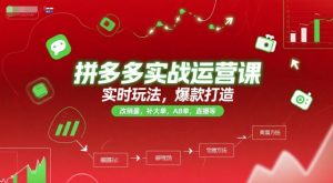 拼多多实战运营课，实时玩法，爆款打造，改销量，补大单，AB单，直播等(更新2025月)-网创资源站