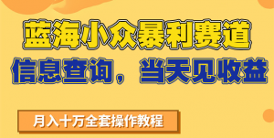 蓝海小众暴利赛道，信息查询，当天见收益，不讲玄学，7天搞了2万+-网创资源站
