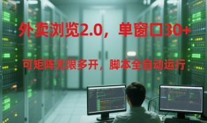 外卖浏览2.0，单窗口30+可矩阵无限多开，脚本全自动运行【揭秘】-网创资源站