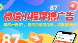 微信小程序看广告，单机一天87，新平台刚出几天，可批量操作，日入5张-网创资源站