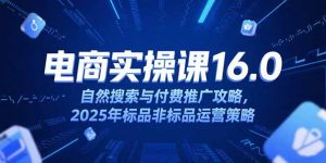 淘宝电商运营课16.0，自然搜索与付费推广攻略，2025年标品非标品运营策略-网创资源站