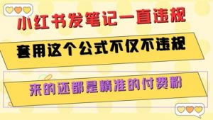 小红书发笔记一直违规，套用这个公式不仅不违规，来的还都是精准的付费粉-网创资源站