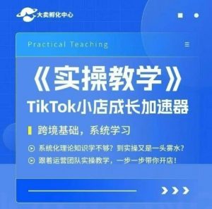 大卖家孵化中心TikTok实操课，TikTok小店成长加速器，跨境基础系统学习，一步一步带你开店-网创资源站
