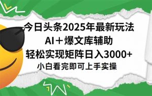 今日头条2025年最新玩法，一键生成爆款，轻松实现矩阵日入3000+-网创资源站