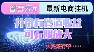 智慧云π电脑挂机单机每天收益300—500+ 并带有团队管道收益 可无限放大-网创资源站