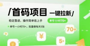 首码一键拉新项目，稳定靠谱，操作简单易上手，单号一小时70+，批量做每天5张【揭秘】-网创资源站